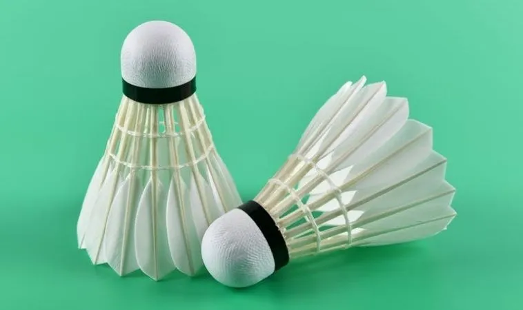 Hướng Dẫn Chơi Cá Cược Cầu Lông Tại 8KBet Chi Tiết Nhất 1 cầu lông tại 8KBet